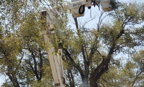 Branch Busters Tree Service LLC 26242 CO-71, Rocky Ford Colorado 81067