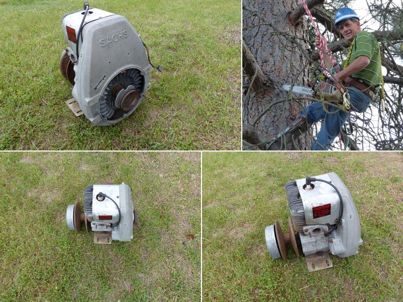 Tim Schertel Tree Service