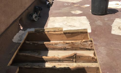 Warm & Fuzzy Foam Co