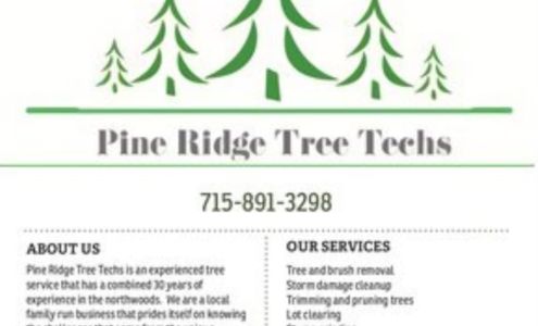 Pine Ridge Tree Techs 5569 Tamarack Rdg, Conover Wisconsin 54519