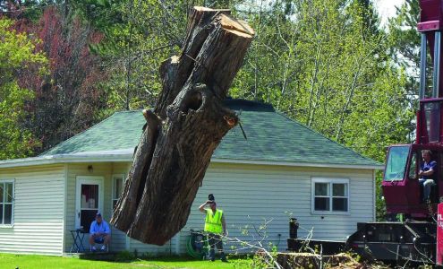 Quality Tree Service North 307 Washington Ave, Bayfield Wisconsin 54814