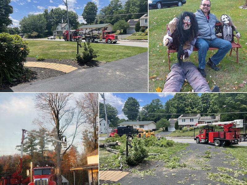 Canadian Tree Services Inc