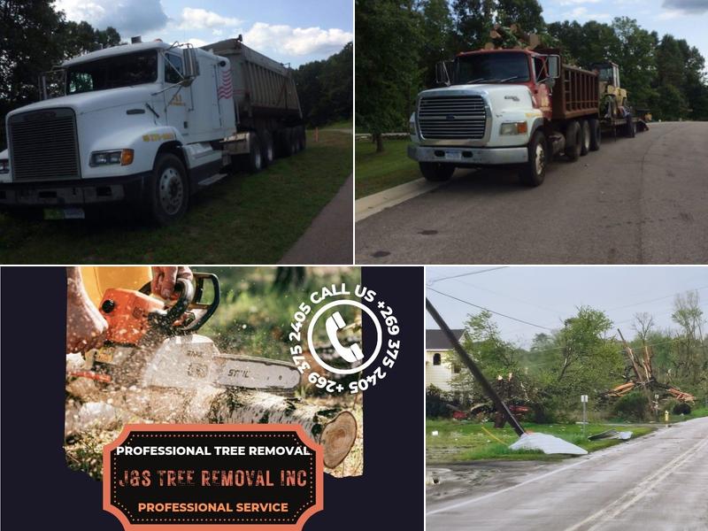 J & S Tree Removal Inc