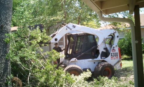 Totally Trees 2689 House St NE, Belmont Michigan 49306