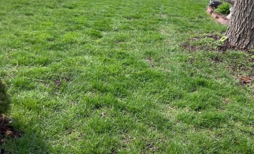 Lawnscaperz Edge LLC 412 S 4th St, Hopkins Missouri 64461