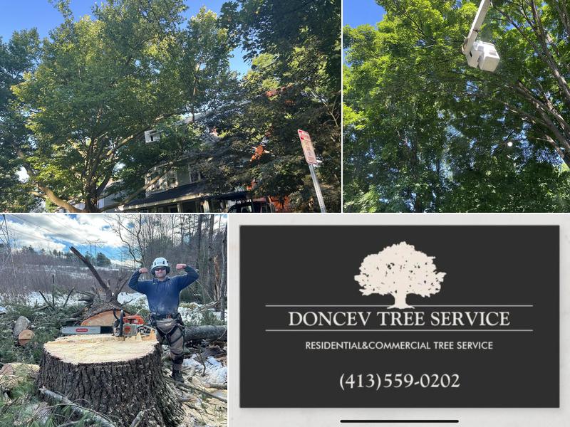Doncev Tree Service