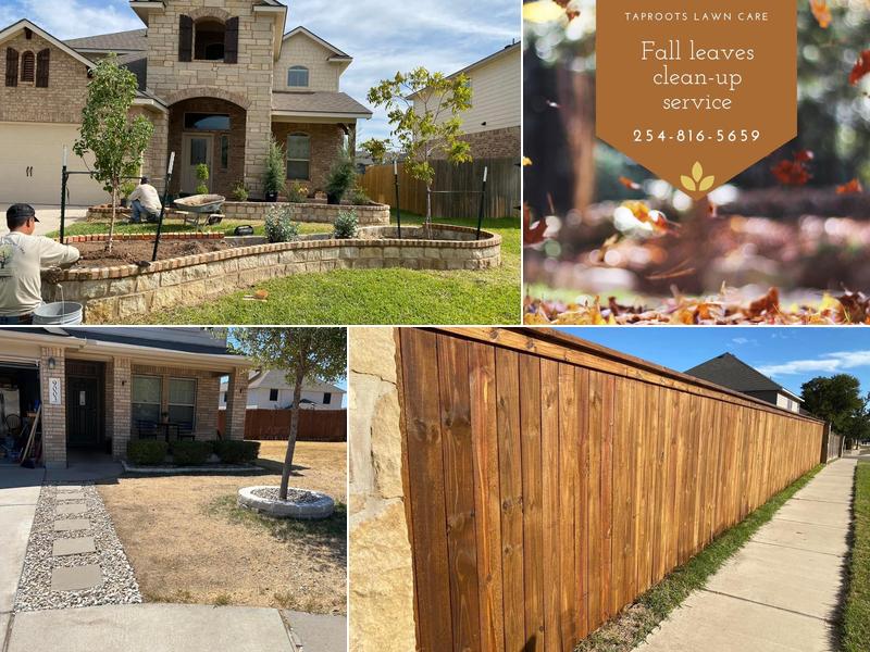 Taproots Lawn Care and Landscaping