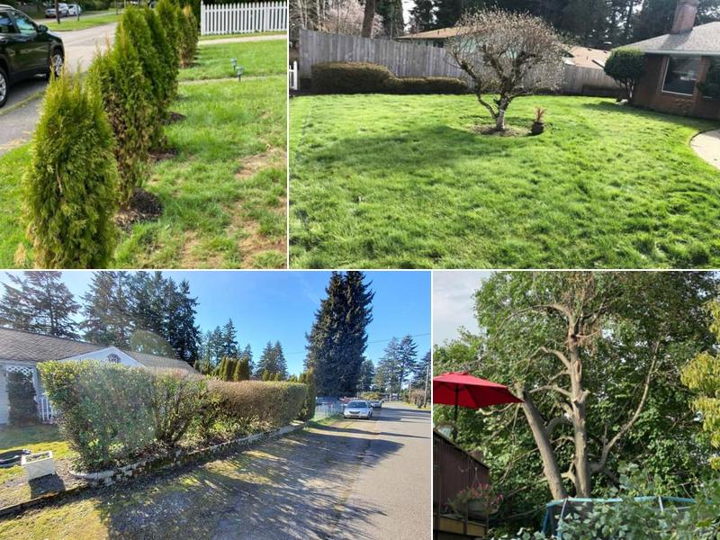 Poly Care Landscaping