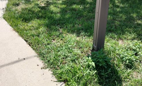 DC Lawns Service Landscaping Pressure washer