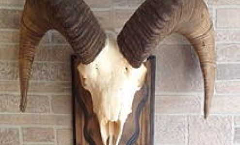 Bucktails Taxidermy & Antler 377 Emma Rd, Basalt Colorado 81621