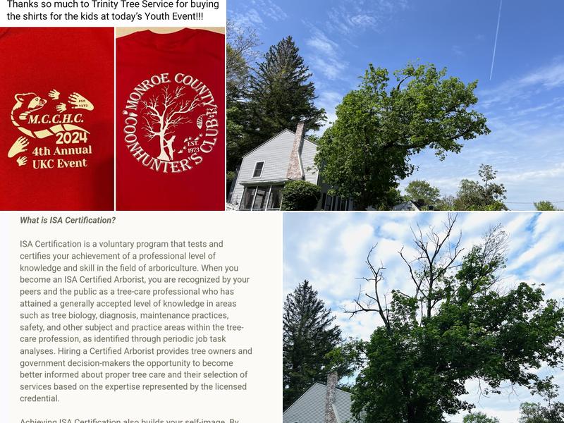 Trinity Tree Services Inc.