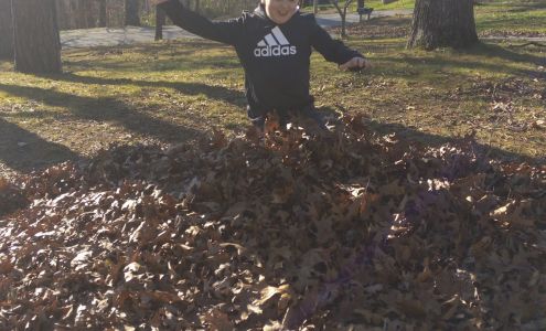 Baker Tree Service 106 Hummingbird Ln, Keavy Kentucky 40737