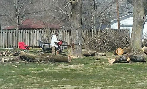Affordable family man tree services