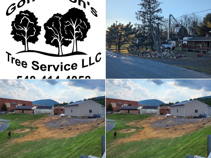 Goff & Son's Tree Service LLC