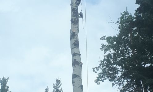 Cypress Tree Service 7712 Marionopolis Pl, Prince George British Columbia V2N 3L5