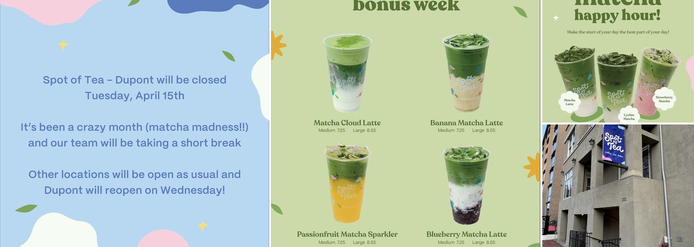 Spot of Tea - DuPont Circle