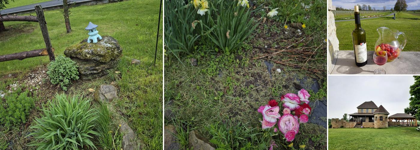 Four Maples Vineyard & Winery Inc.