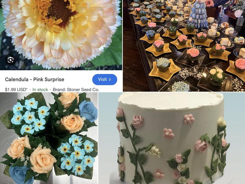 Mollies Sociable Sweets