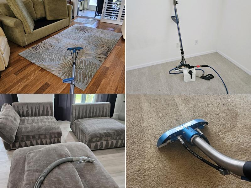 Expert Carpet Cleaning