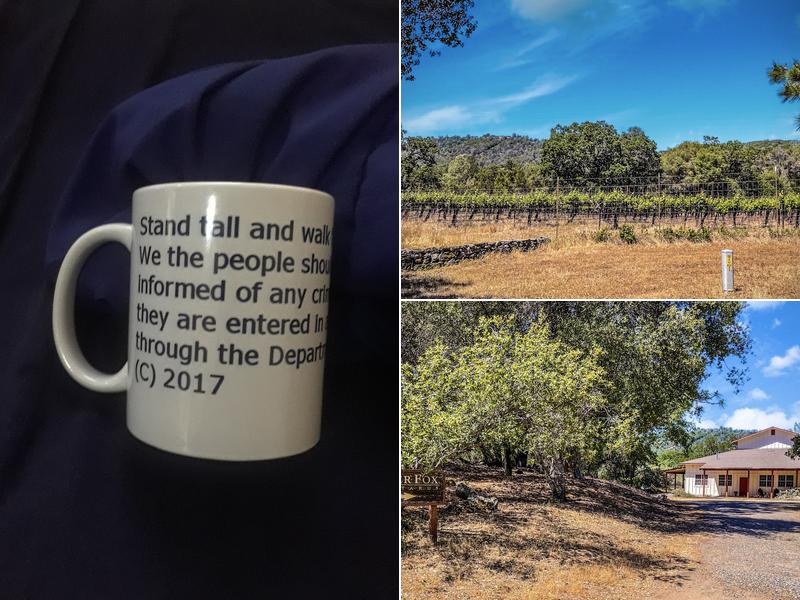 Silver Fox Vineyards