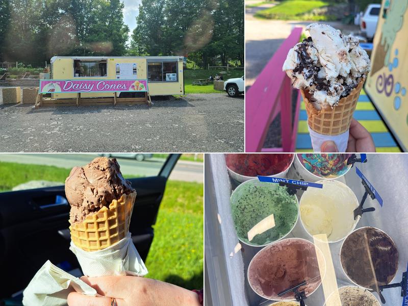 Daisy Cones 19258 Airport Rd, Caledon East