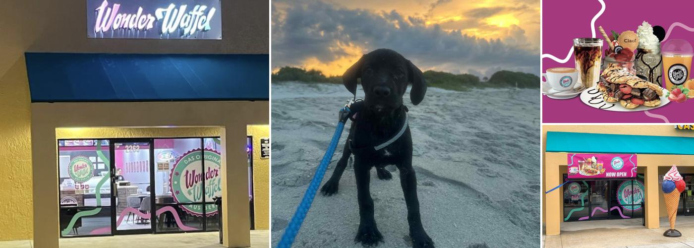 Wonder Waffel Melbourne