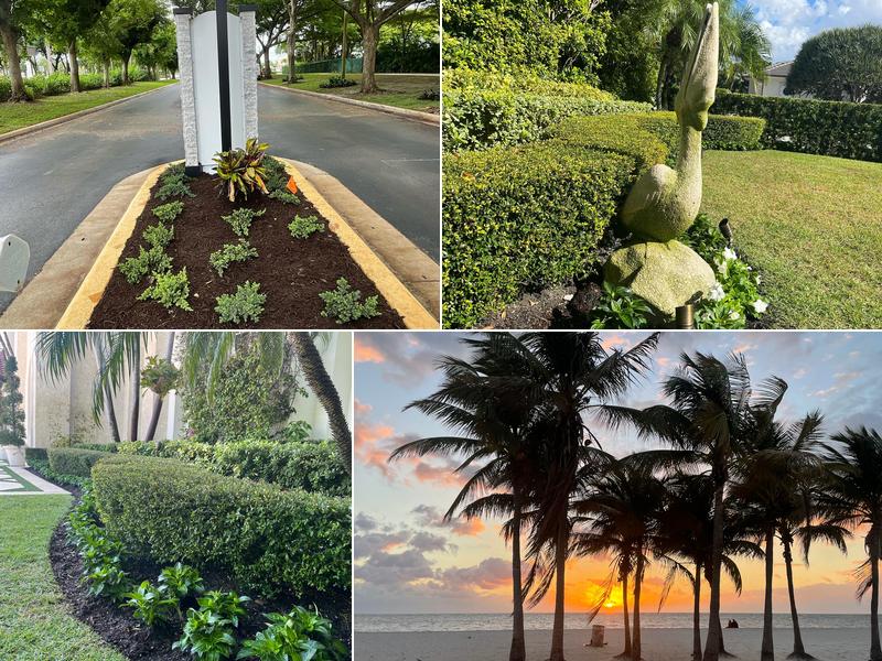 Palm Beach Gardening & Design