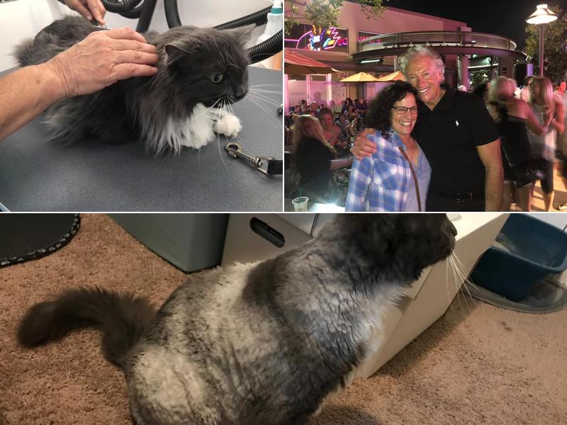 Groomer Gal On the Go