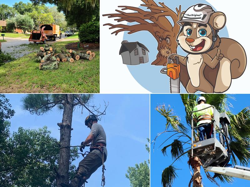 Flying Squirrel Tree and Debris Removal LLC