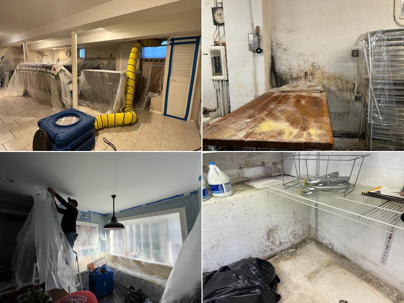 Green Guard Mold Remediation Plainfield