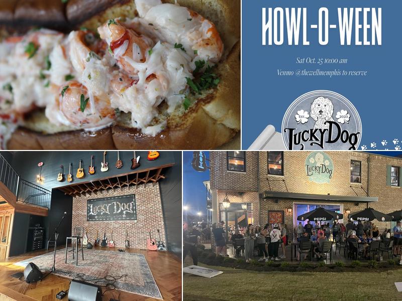 Lucky Dog Music Hall & Bar