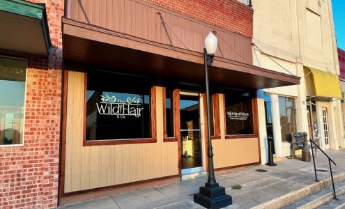 The Wild Hair Salon & Co.