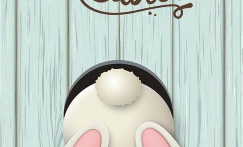 Nails 2 NV 1524 MS-1, Greenville Mississippi 38701