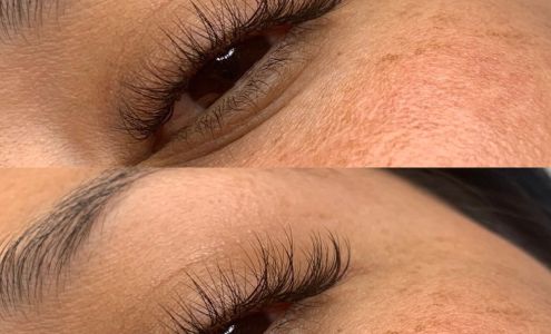 Desert Wild Flowers Esthetics