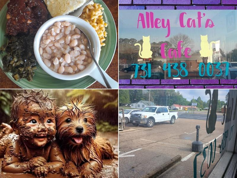 Alley Cat's Cafe