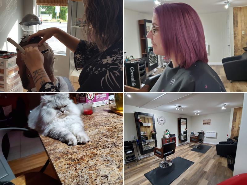 Xtreme Coiffure Visitation