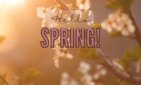 Luna Salon Spa & Boutique 3760 Nova Scotia Trunk 3, Chester Nova Scotia B0J 1J0