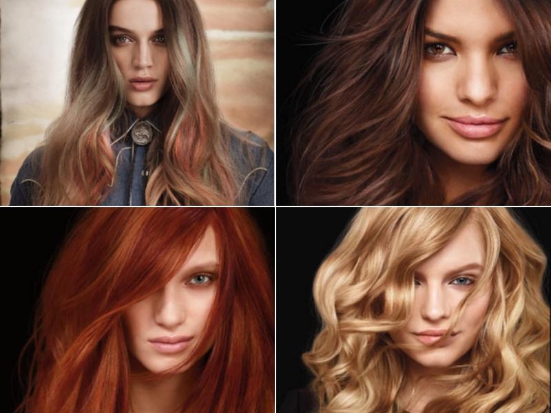 Évolution Coiffure