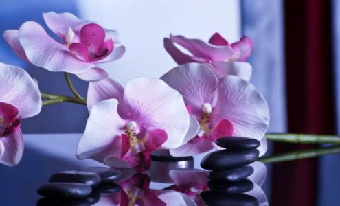 Natural Therapy Clinic