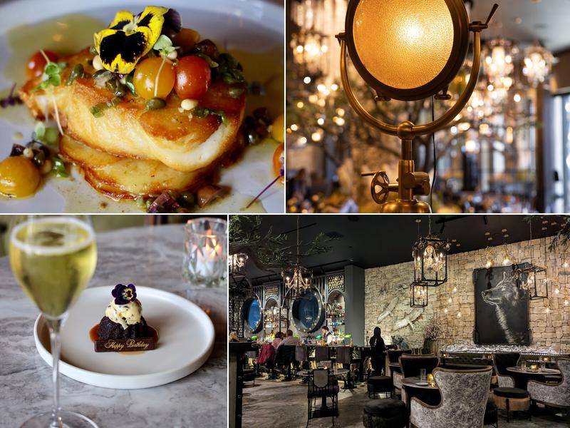 Wolf by Vanderpump 18 Hwy 50, Stateline