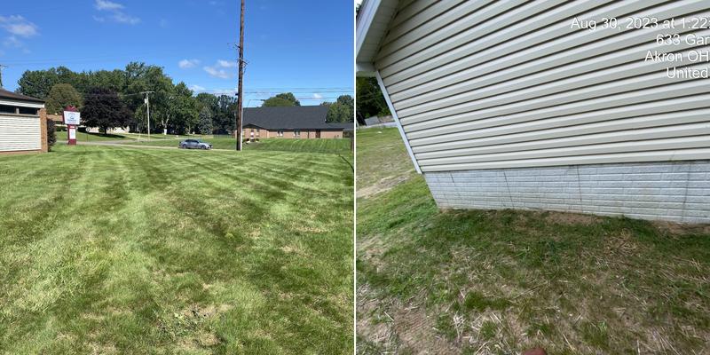 Extraordinary detail