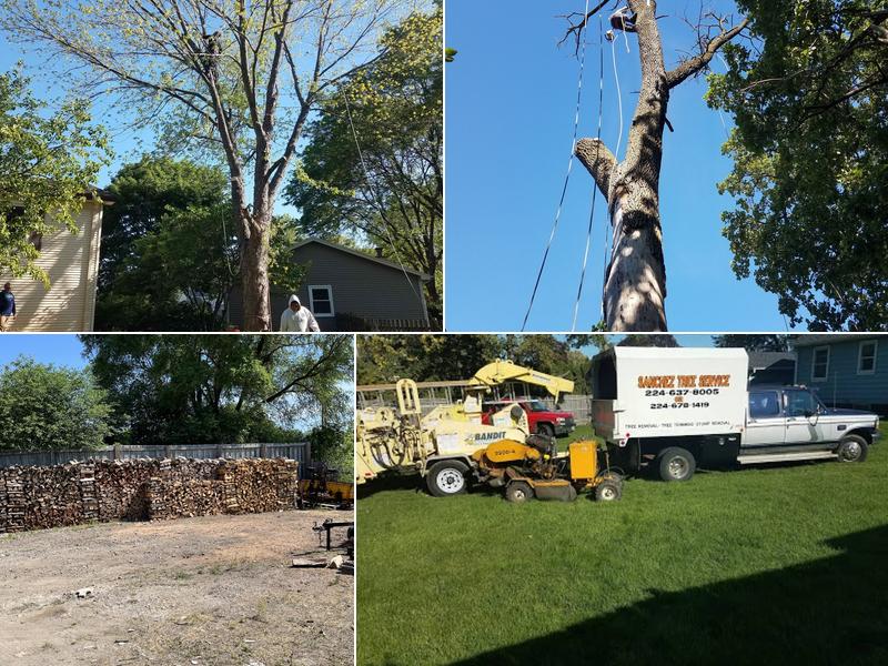 Sanchez Tree Service