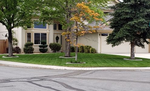 Tailored Lawn Care, LLC