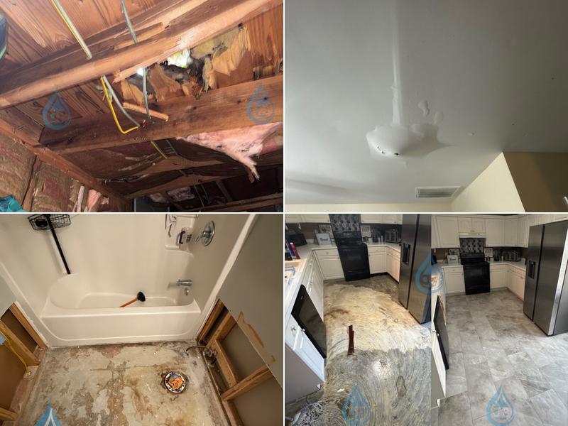 D&B Restoration Services