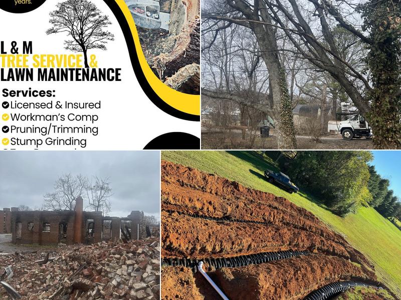 L&M tree service