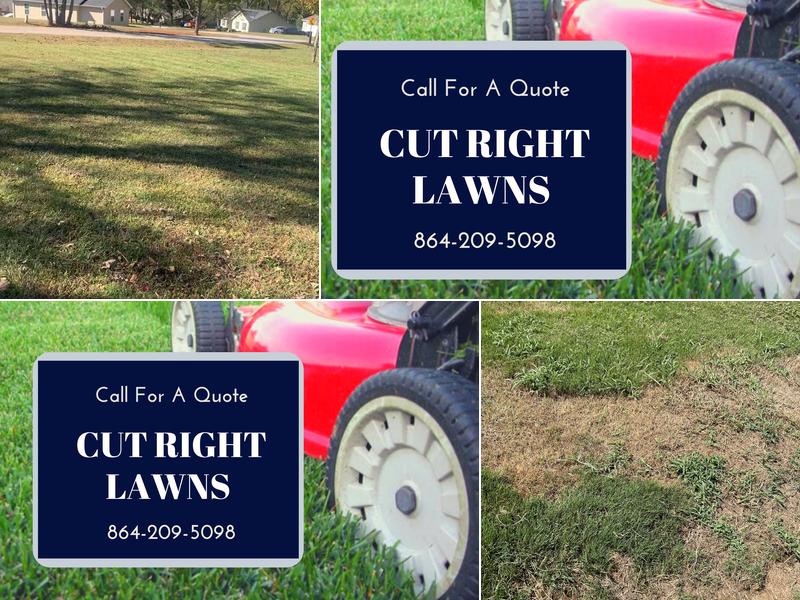 Cut Right Lawns and Services