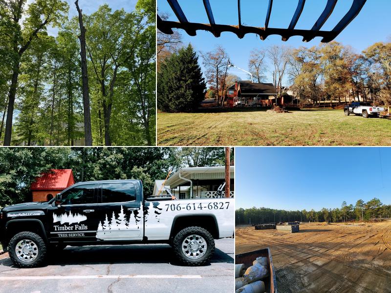 Timber Falls Property Services.