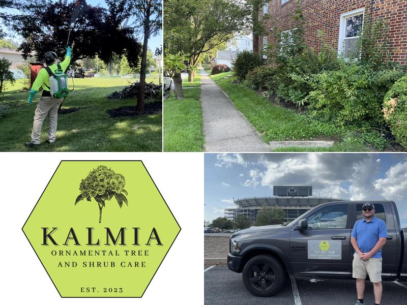 Kalmia Ornamental Tree and Shrub Care