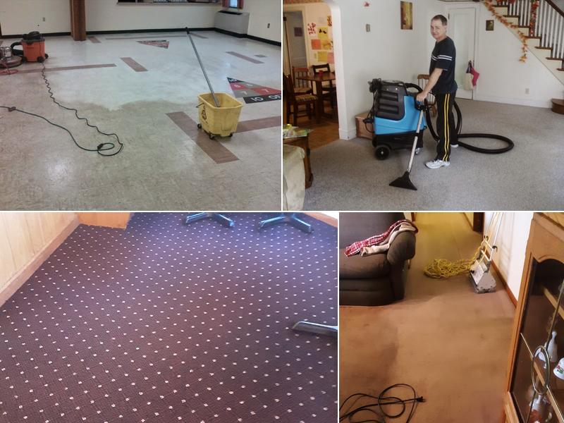 Anhalt Carpet Cleaning