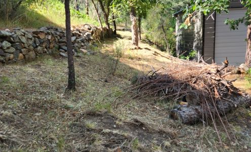 D's landscaping & handyman service's & rescue